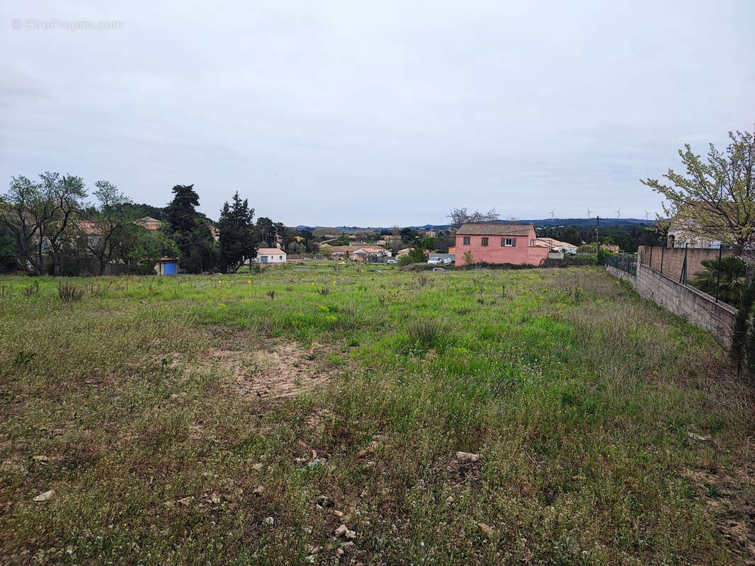 Terrain à CASTELNAU-D'AUDE