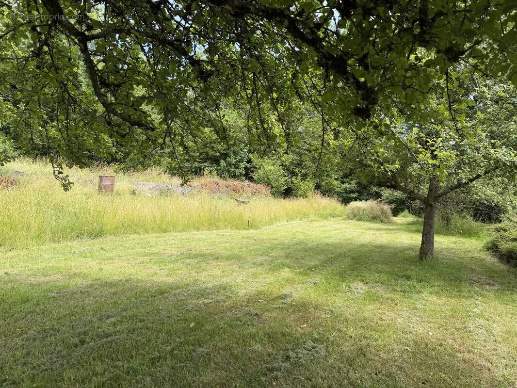 Terrain 1200 m² à Auxelles-Haut  - photo 2