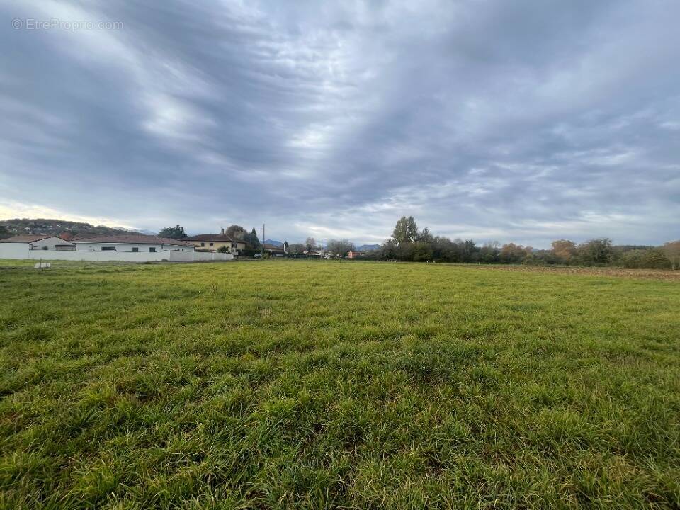 Terrain à JUILLAN