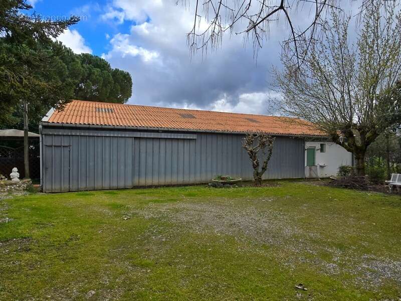 Domaine viticole 180 m² + dépendances + hangar – 6 754 m² – 15 min Carcassonne / Limoux - photo 6