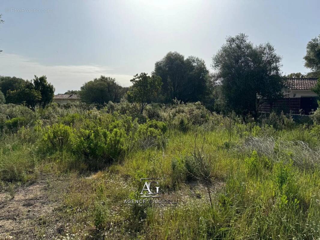 Terrain à VENTISERI