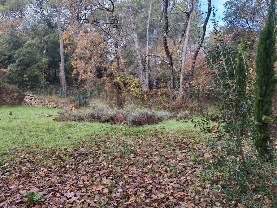 Terrain à LORGUES