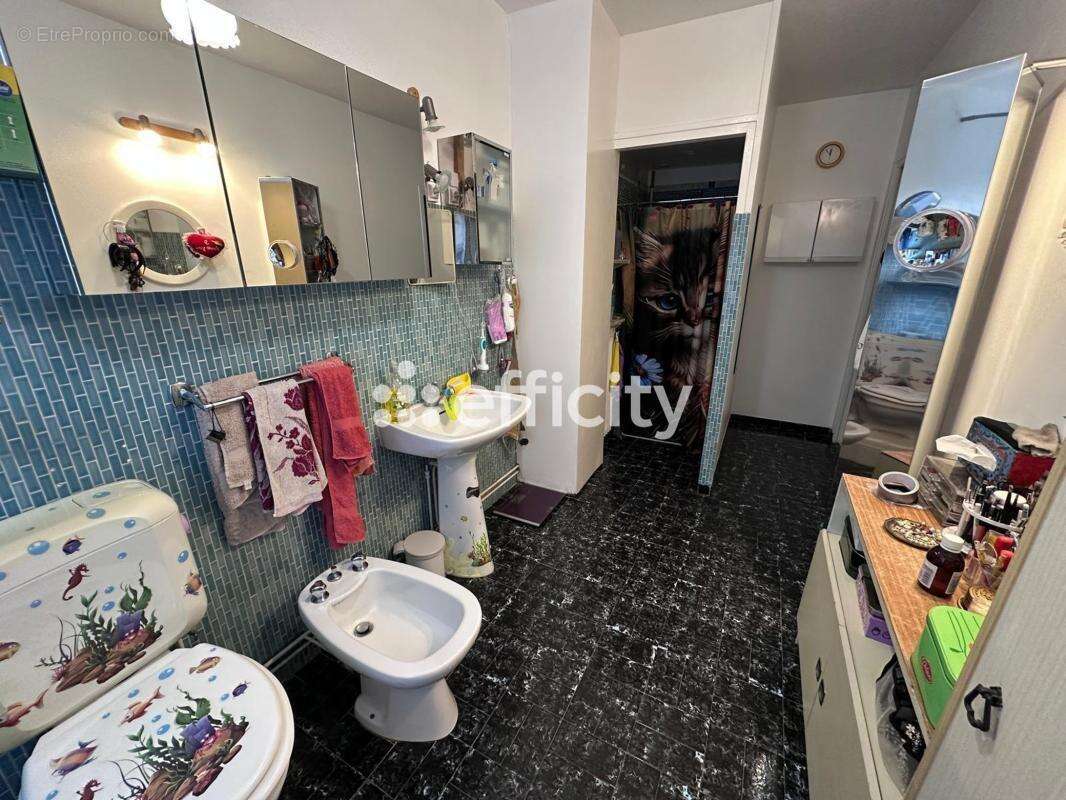 Maison à MEZIERES-EN-BRENNE