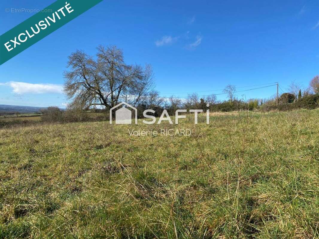 Photo 3 - Terrain à SAINT-ANTONIN-NOBLE-VAL