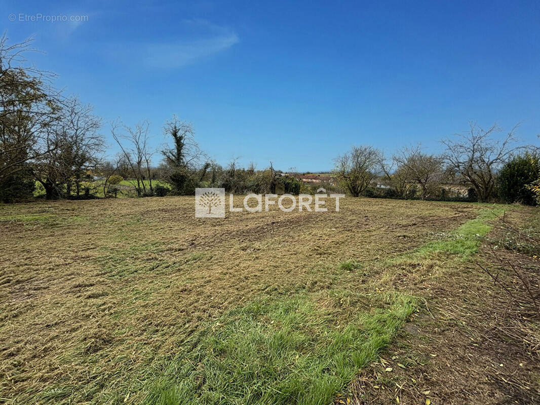 Terrain à MISERIEUX