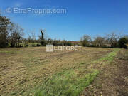 Terrain à MISERIEUX