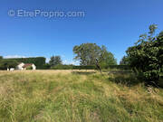 Terrain à RUFFEY-LES-BEAUNE