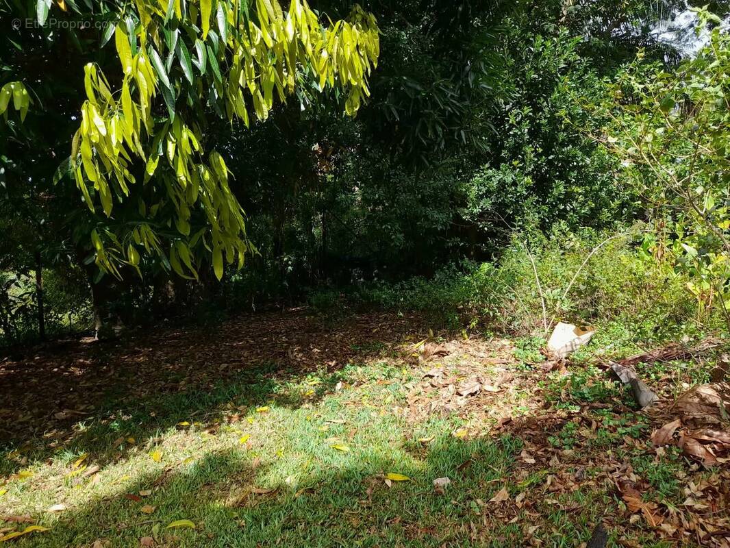 Terrain à SAINT-PIERRE