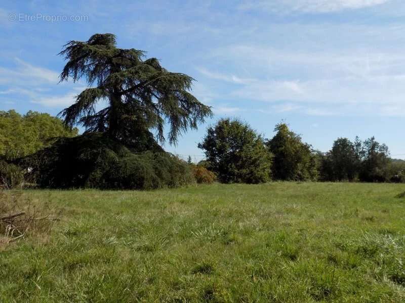 Terrain constructible proche Mirande - photo 2