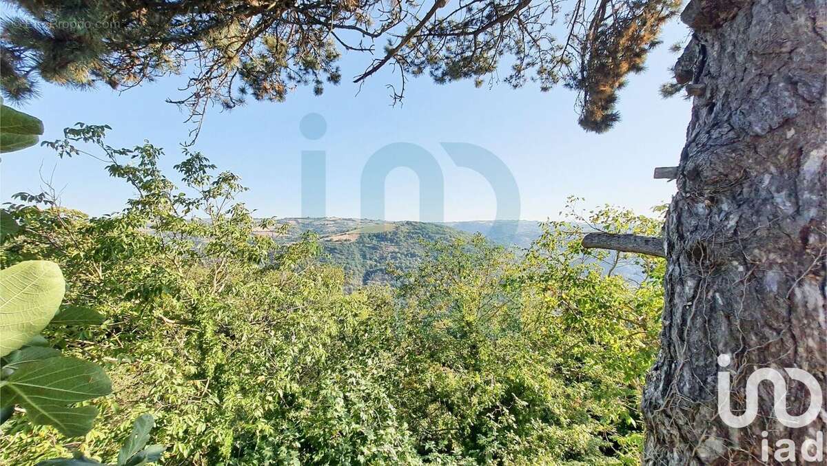 Photo 7 - Maison à MONTCLAR