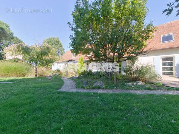 Longere du 18o 5 chambres piscine parc  clos 14 000 m2 - photo 25