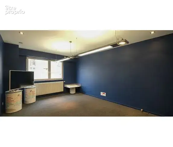 Spacieux local professionnel - photo 3