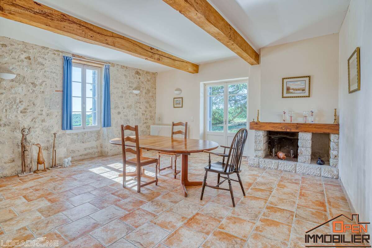 Maison 300 m² à Clermont-Soubiran  - photo 46