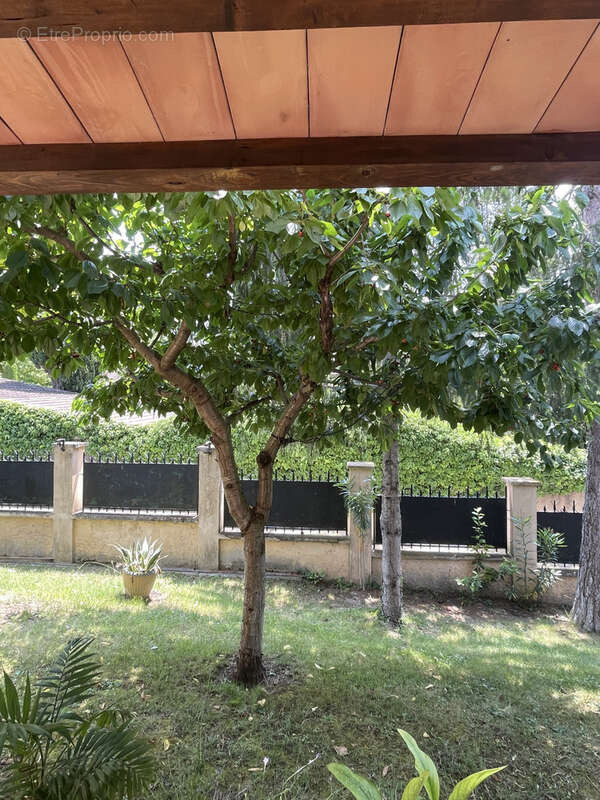 Vaison 2km / belle maison / sh240m2 / terrain 1396m2 / piscine / pool house 100m2 - photo 18