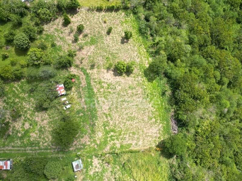 Terrain à LE CARBET