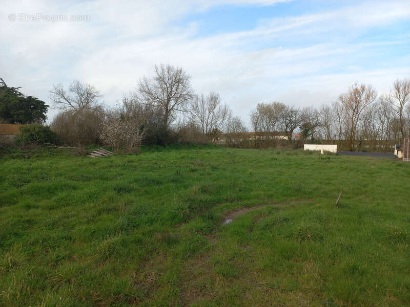 Terrain à SAINT-JEAN-DE-MONTS