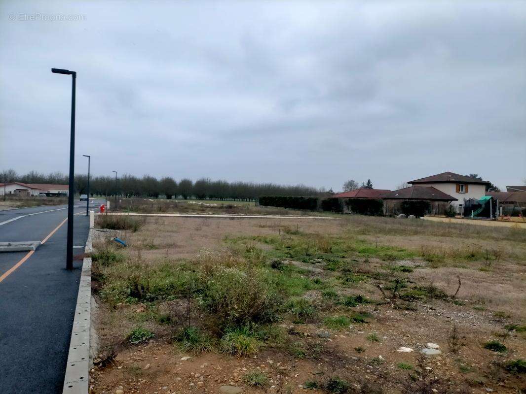Terrain à SAINT-ROMANS