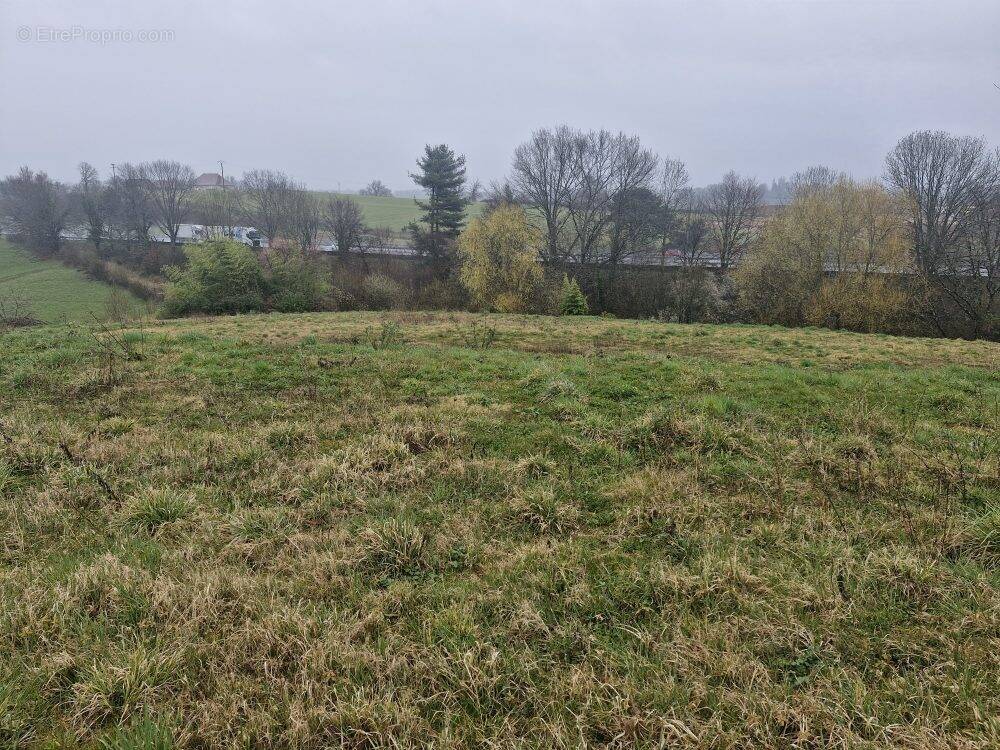 Terrain à PIERRE-BUFFIERE