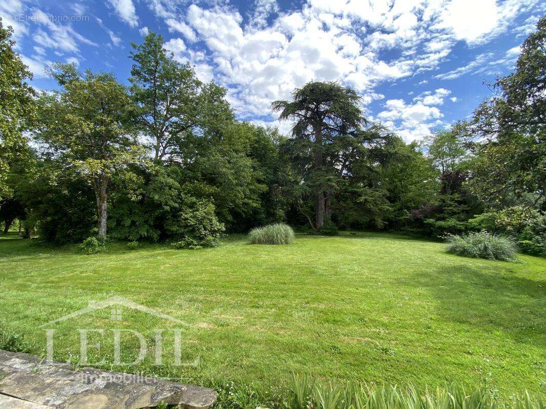 Domaine Historique avec Gîte - photo 2