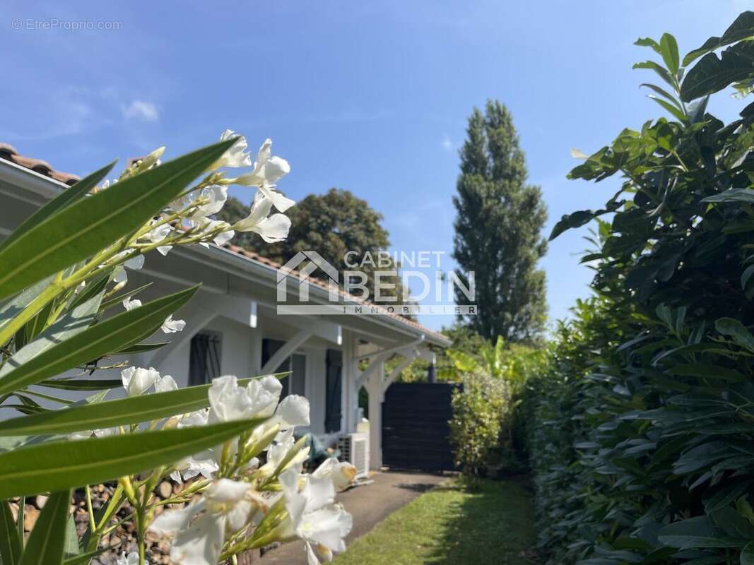 Maison à BISCARROSSE