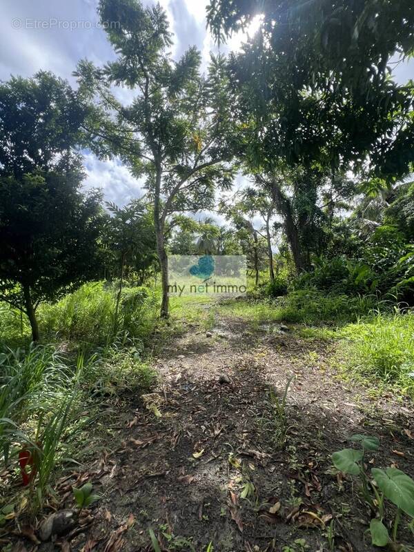 Terrain à SAINTE-ANNE