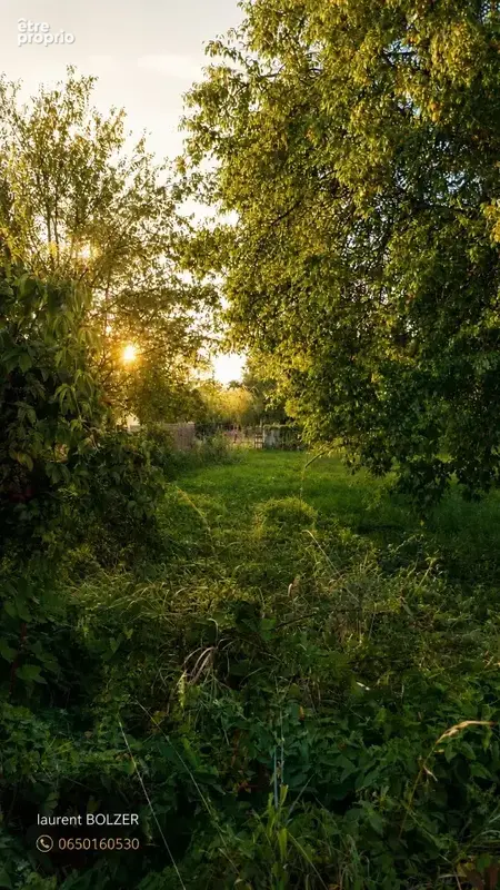 Terrain à LANTON
