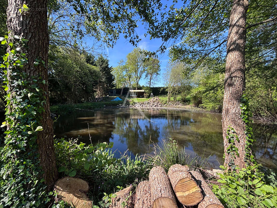 Terrain de loisirs 2310m² - photo 6