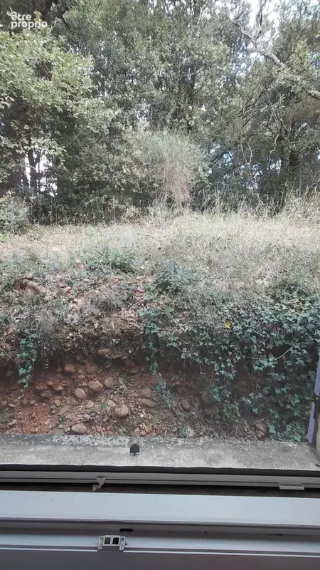 Belle Villa dans un cadre boisé - photo 12