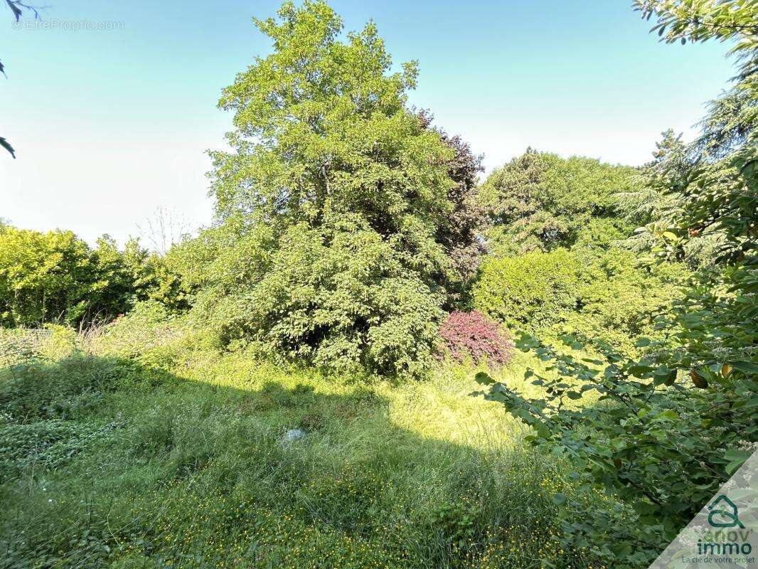 A vendre saint cybardeaux proche rouillac 4 maisons dont 2 l - photo 29