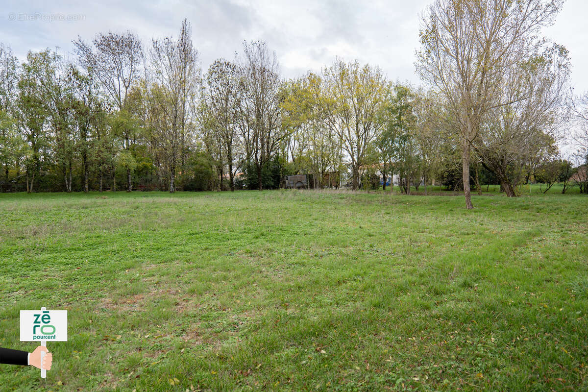 Terrain à MAREUIL-SUR-LAY-DISSAIS