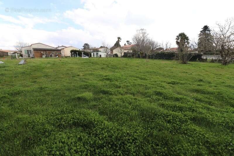 Terrain à SAINT-PALAIS-SUR-MER