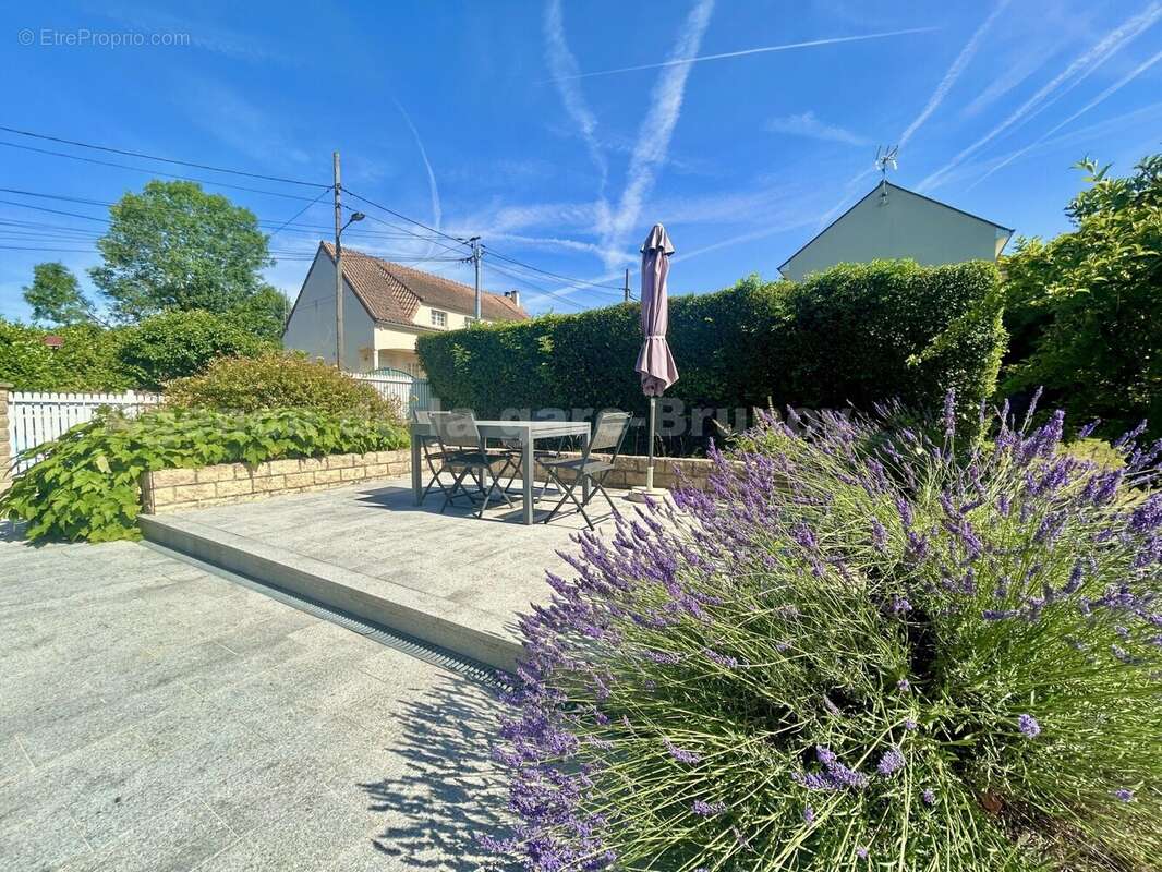 IMG_7228 - Maison à BRUNOY