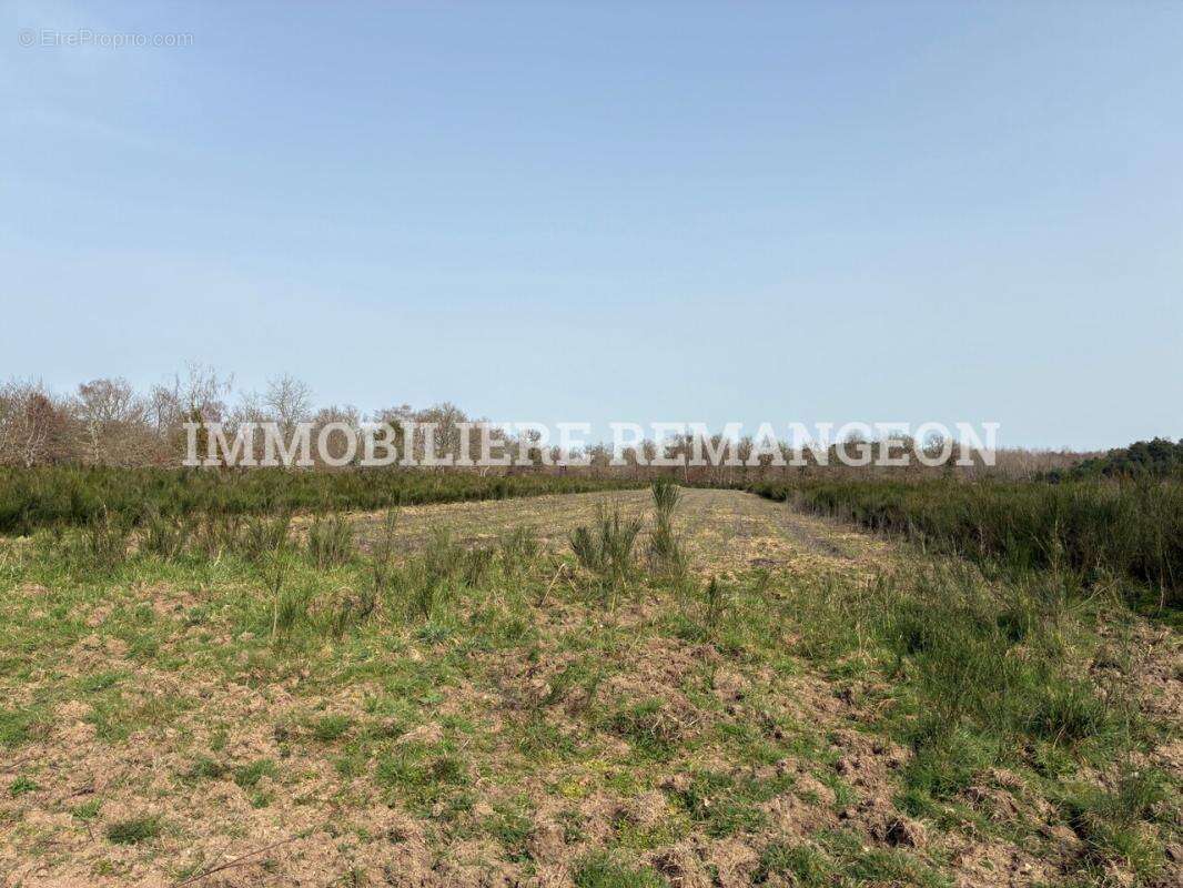 Maison à LAMOTTE-BEUVRON