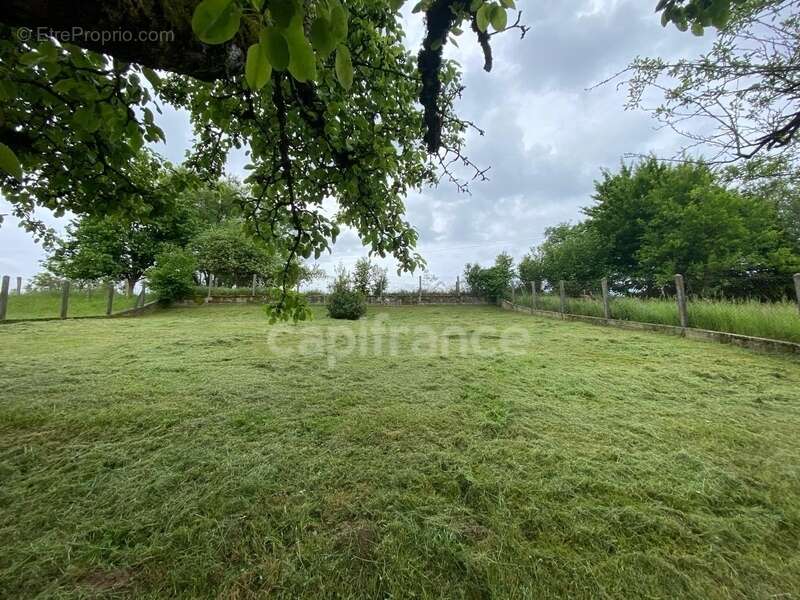 Ensemble immobilier à vendre à ALLICHAMPS (52) - photo 17
