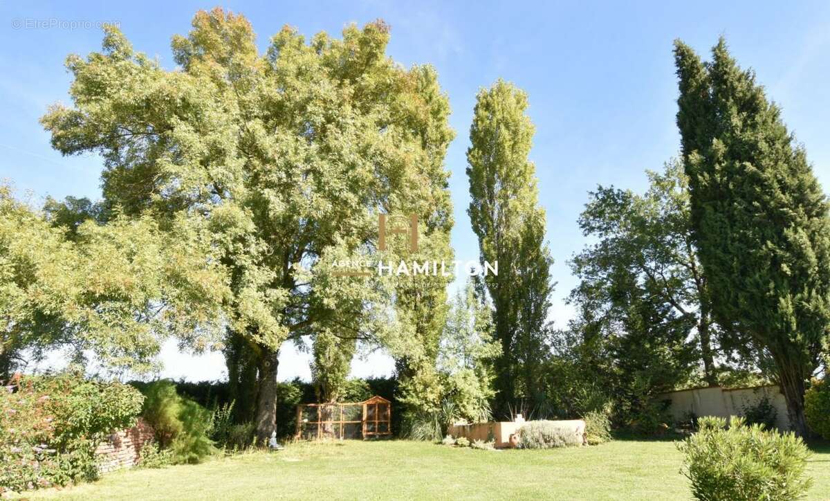 Maison à CORDES-SUR-CIEL
