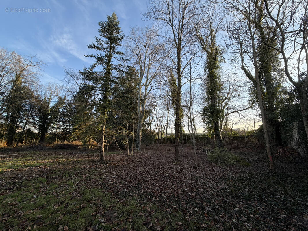 Terrain à JOUY-LES-REIMS