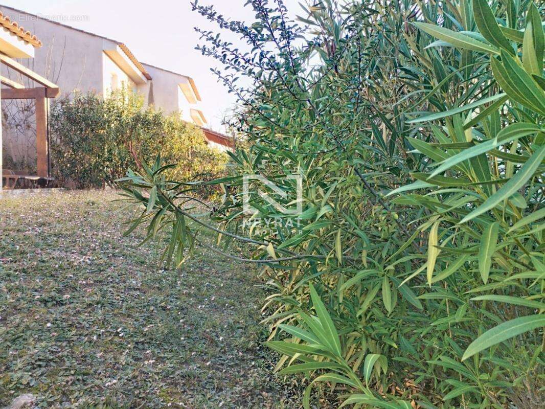 Appartement à MONTAUROUX