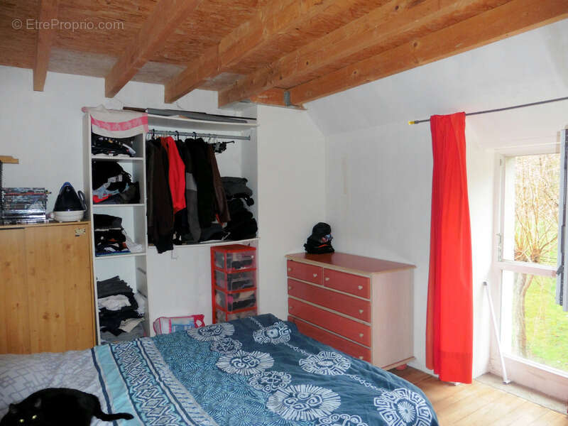 Authentique ! - photo 7