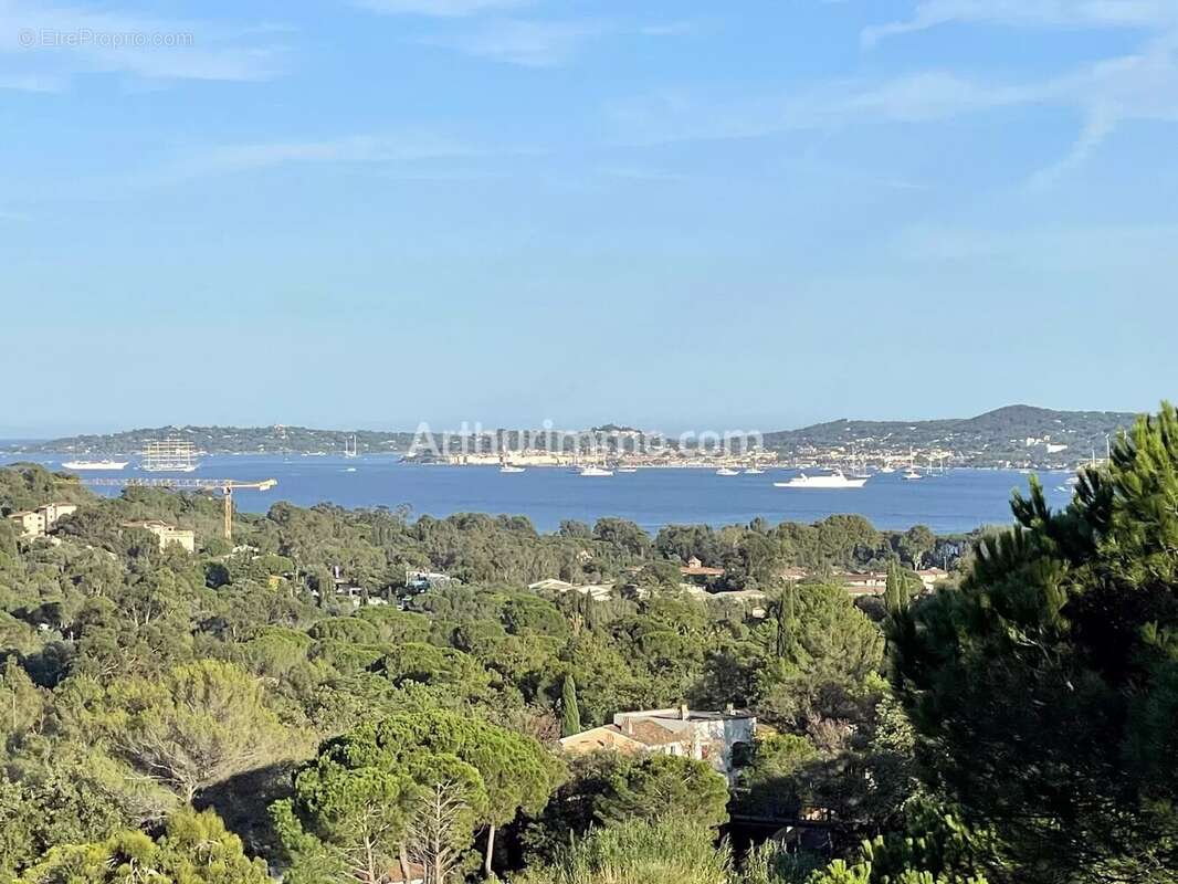 Grimaud - exclusivité : - photo 4