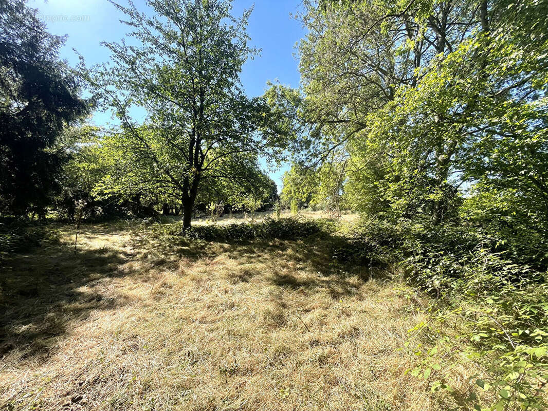 Maison à SAINTE-GENEVIEVE