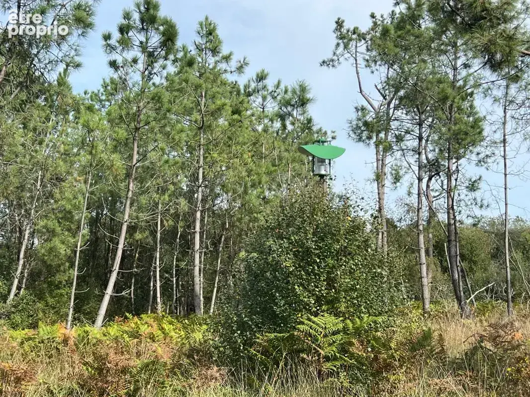 À vendre – argol – finistère – presqu’île de crozon-exceptionnel terrain de loisirs de 40 000 m² - photo 34