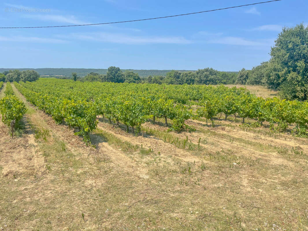Maison à SAINT-PANTALEON-LES-VIGNES