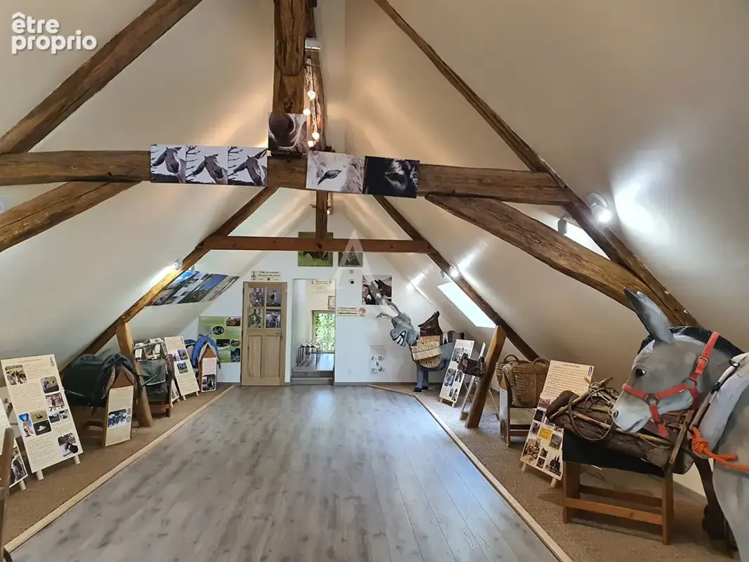 Local commercial Loisirs/tourisme à Couddes - photo 11