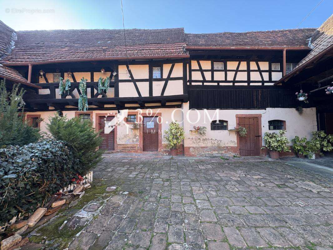 Maison à HATTMATT