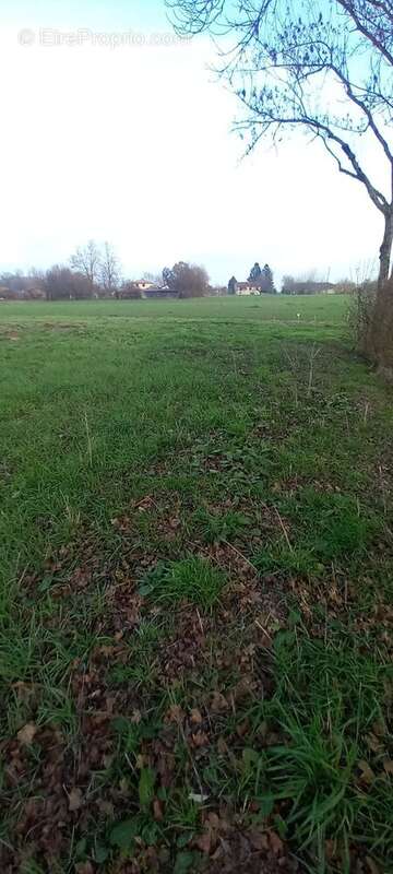 Terrain à BEY