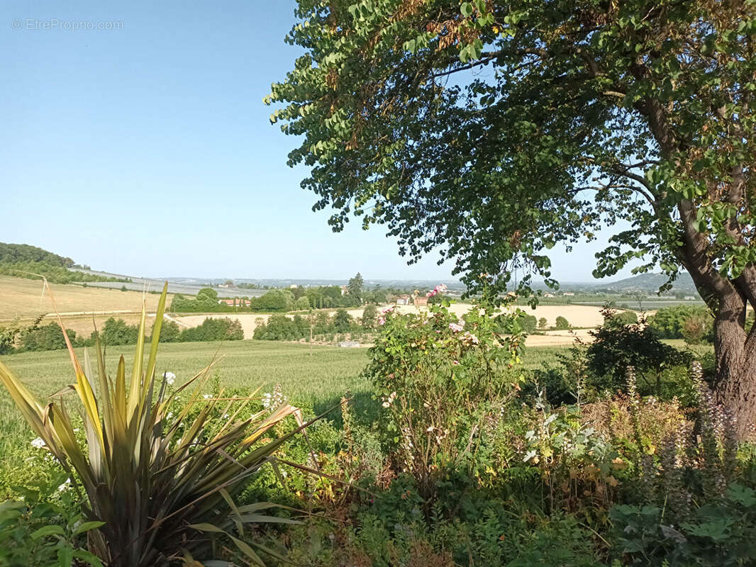 Propriété Galapian (47) en campagne - photo 3