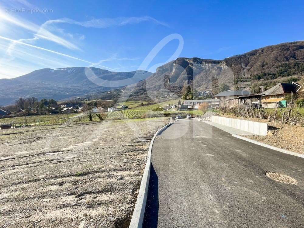 Terrain viabilisé (Lot 3) - Terrain à SAINT-PIERRE-D'ALBIGNY