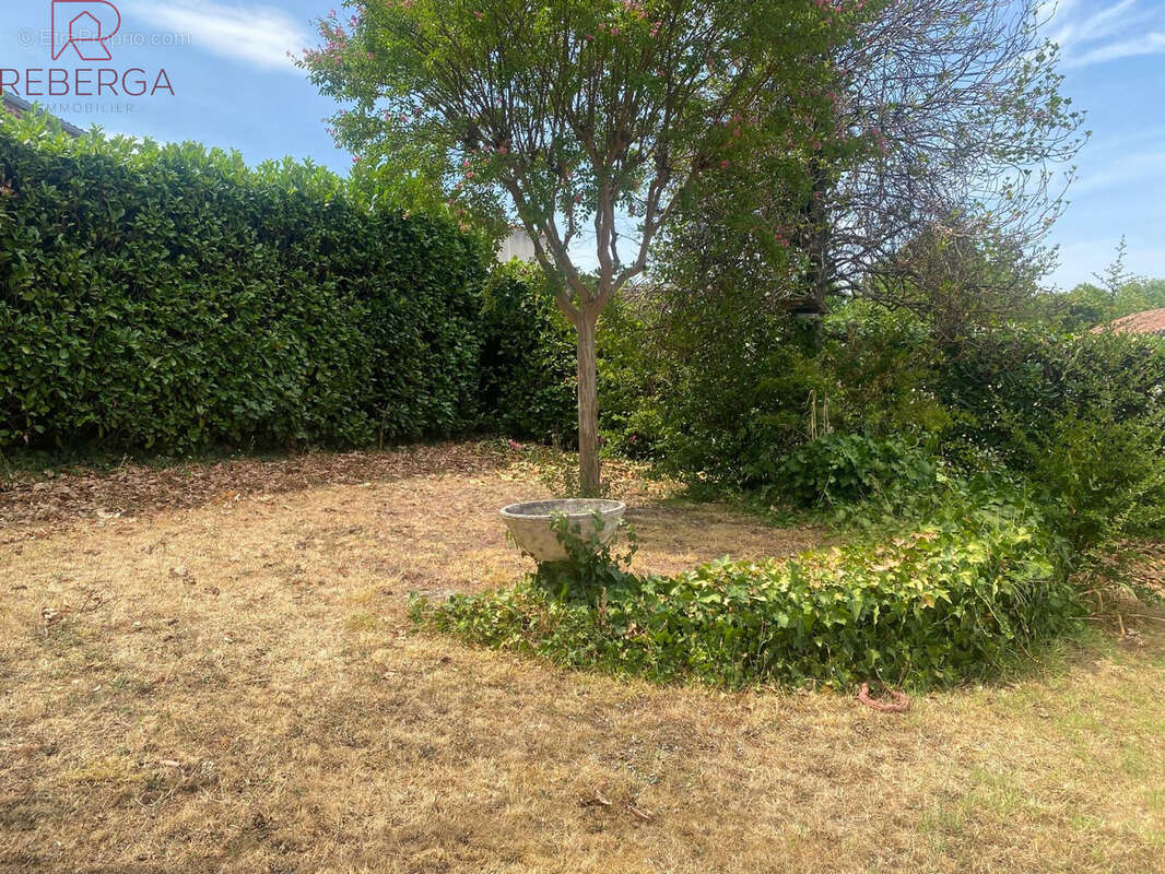 Maison 110 m² à Mazamet  - photo 17