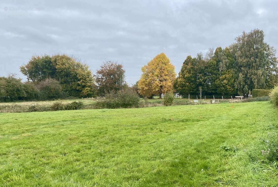 Terrain à BEUZEVILLE