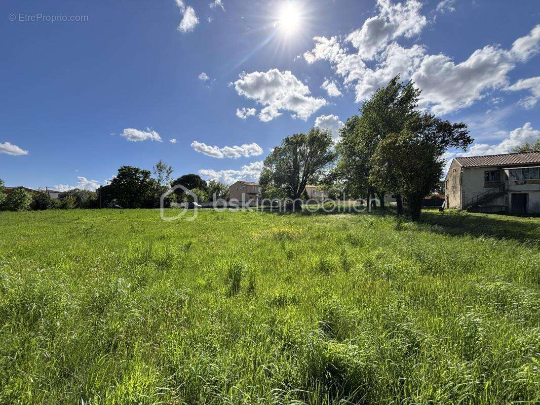 Terrain à RIBAUTE-LES-TAVERNES